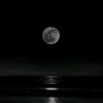 وای دیگه رد داده مغزم