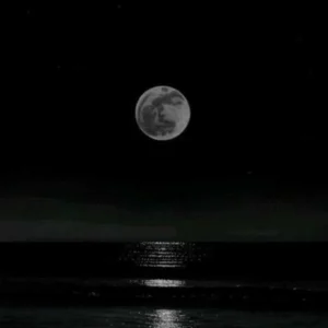 آهنگ وای دیگه رد داده مغزم