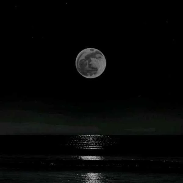 دانلود آهنگ وای دیگه رد داده مغزم دانلود آهنگ وای دیگه رد داده مغزم