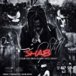 ریمیکس توپاک و بهرام و یاس و سورنا شب