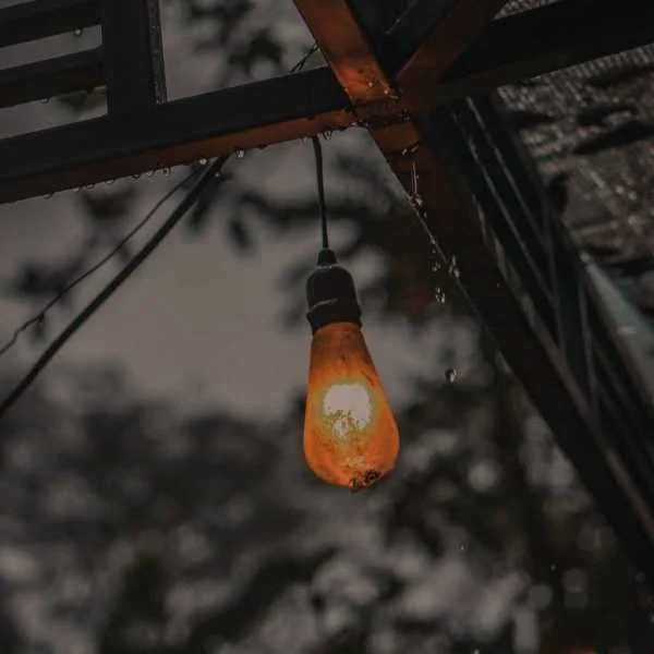 دانلود آهنگ عجب نازی داره دلبر