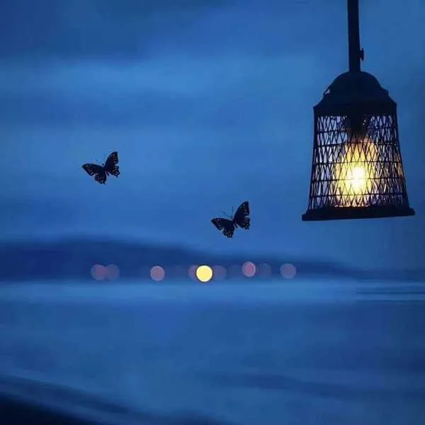 دانلود آهنگ عزیزم پاشو با من برقص دانلود آهنگ عزیزم پاشو با من برقص