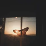 برگرد و بذار دوباره چشام تو چشای تو وا شه