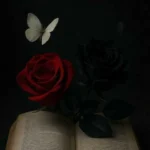 بذار کل دنیا بدونن چقد دوست دارم