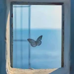 غریبه خونه مارو بلد شد
