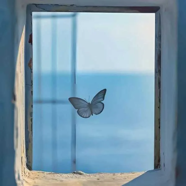 دانلود آهنگ غریبه خونه مارو بلد شد