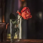 همه میگن سنگی سنگ من میگم رومی روم