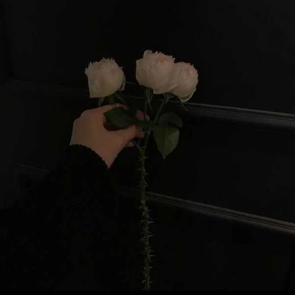 دانلود آهنگ مسکن قلبم مراقبتم من هوش مصنوعی