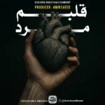 ریمیکس پیشرو و تتلو و هیپهاپولوژیست و مهیاد و سجاد شاهی قلبم مرد