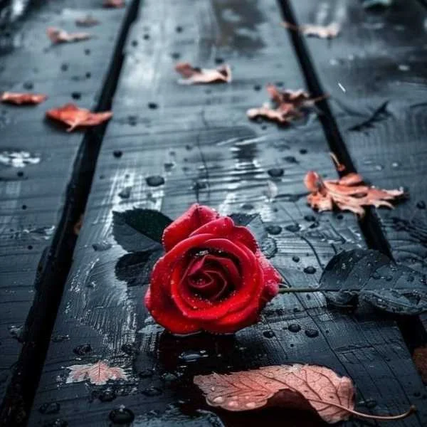 دانلود آهنگ ﺷﺮﻳﮏ ﺣﺎل ﺧﻮﺑﻢ ﺗﻮ دانلود آهنگ ﺷﺮﻳﮏ ﺣﺎل ﺧﻮﺑﻢ ﺗﻮ