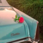 شنیدم میگن عشوه بلدی