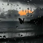 شیشه عرقی