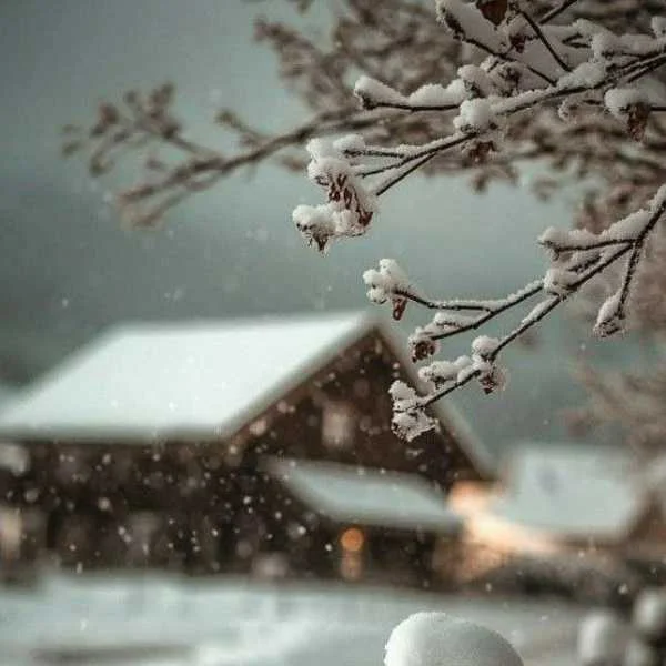 دانلود آهنگ بیا تا تگرگ ها برقصیم ریمیکس دانلود آهنگ بیا تا تگرگ ها برقصیم ریمیکس