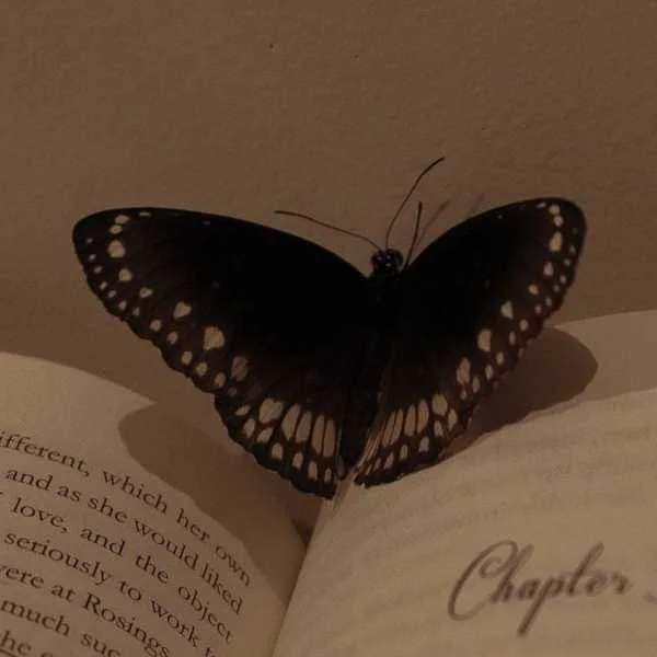 دانلود آهنگ زدی زیر قولت بیبی بیبی