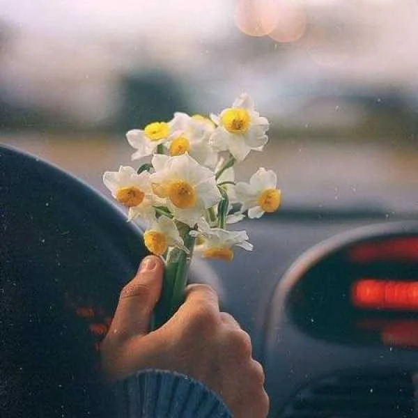 دانلود آهنگ عشق مثل یه کابوس تکراری تو خوابم