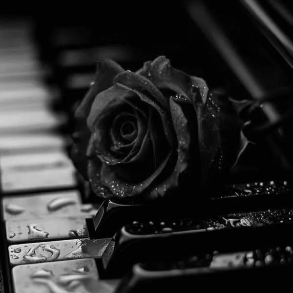 دانلود آهنگ تو فقط به من میای چه عشقی میشه دانلود آهنگ تو فقط به من میای چه عشقی میشه