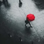 گفته بودم اگه برگردی دوباره