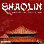 ریمیکس هیپهاپولوژیست و ویناک و پوری و پوتک و پیشرو شائولین