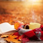 مثل هوای نزدیک پاییز