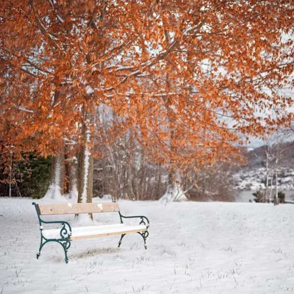 دانلود آهنگ میترسم از پاییز بدون تو