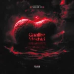 ریمیکس رامین تجنگی و تتلو و فرشاد آزادی و مهیاد و محمد امیری و رضا کرمی تارا و مجید ارم قلب مشکی