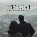 ریمیکس رضا یاری و پیشرو و پوری و صادق و تویس و ویناک تکیه گاه