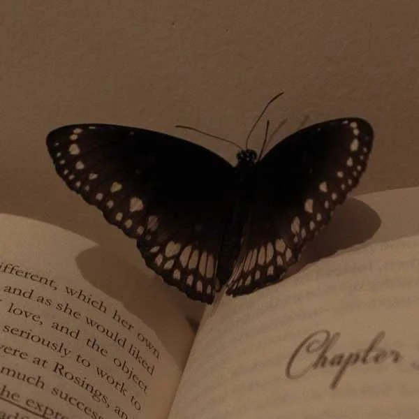 دانلود آهنگ تنها باشی هر جا باشی خودم میگیرم دورتو