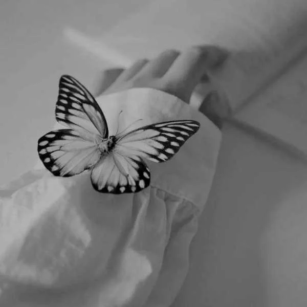 دانلود آهنگ من از عالم تو را تنها گزینم