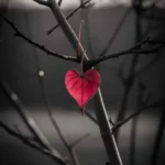 وای چقد دلم میخواد بغل