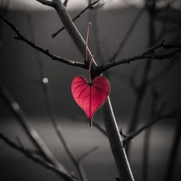 دانلود آهنگ وای چقد دلم میخواد بغل