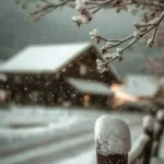 یه زمستون دیگه رسید و من ندارمت باز هوش مصنوعی