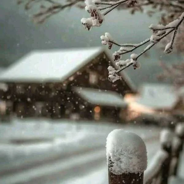 دانلود آهنگ یه زمستون دیگه رسید و من ندارمت باز هوش مصنوعی