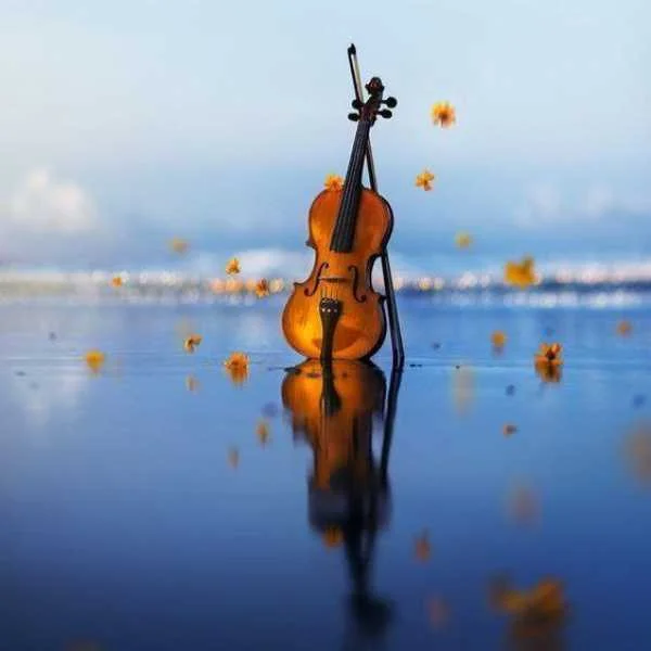 دانلود آهنگ یه جوری میخوامت که هیچ وقت با دلت بد نمیشم هوش مصنوعی