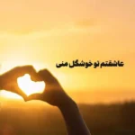 عاشقتم تو خوشگل منی