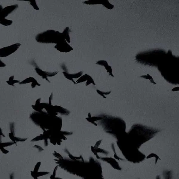 دانلود آهنگ ای عشق بی پایانم آغوش تو دنیایم