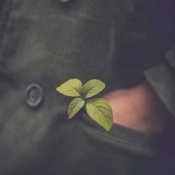 دانلود آهنگ عزیزم از تو یه روز فاصله کم نیست دانلود آهنگ عزیزم از تو یه روز فاصله کم نیست