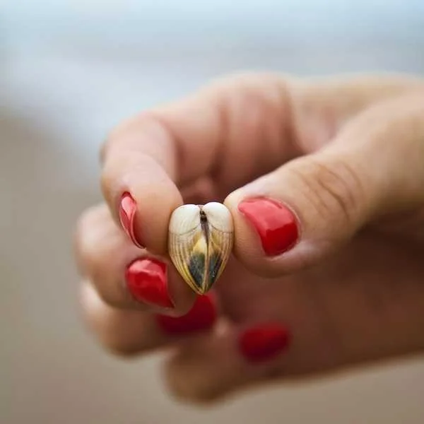 دانلود آهنگ خدایا مرسی عشقمو آفریدی دانلود آهنگ خدایا مرسی عشقمو آفریدی