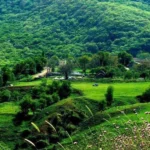 مغان تویلاری