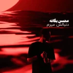 محسن یگانه دنبالش میرم