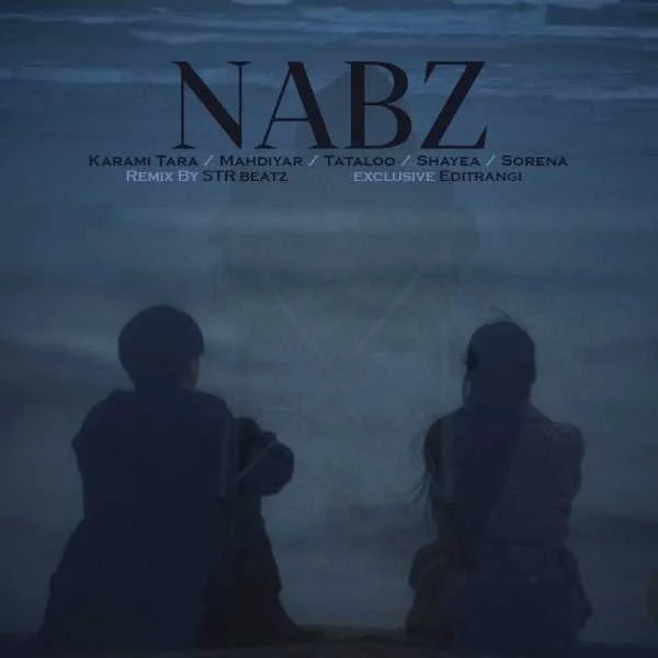 دانلود ریمیکس رضا کرمی تارا و مهدیار و تتلو و سورنا نبض