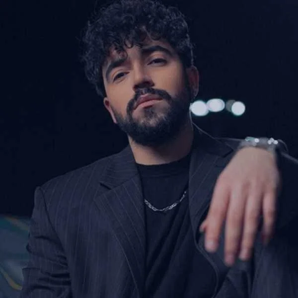 دانلود آهنگ شروین حاجی پور دلم برات تنگ میشه