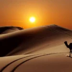 عربی اسما اسما
