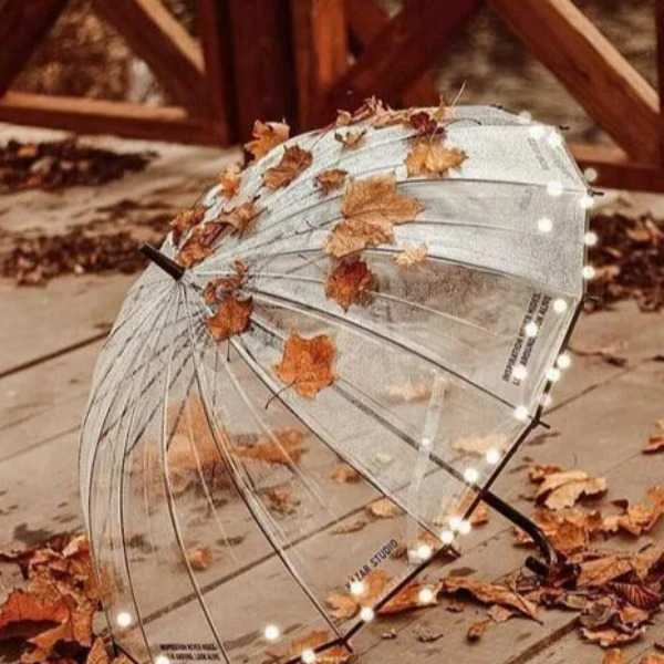 دانلود آهنگ مثل باد سرد پاییز غم لعنتی به من زد