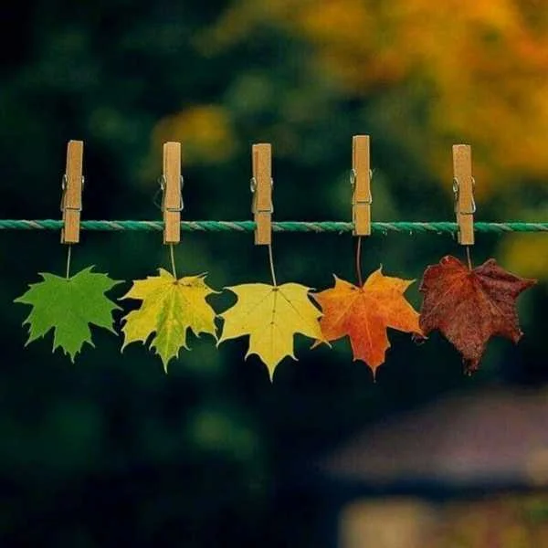 دانلود آهنگ دیگه حرفام نداره رنگی دانلود آهنگ دیگه حرفام نداره رنگی