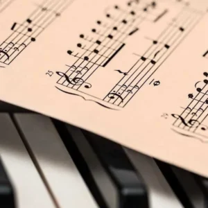 آهنگ دختره خیلی شیتانه عاشق لویی ویتانه