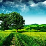 میگن مستی و راستی نشد هر چیو خواستیم