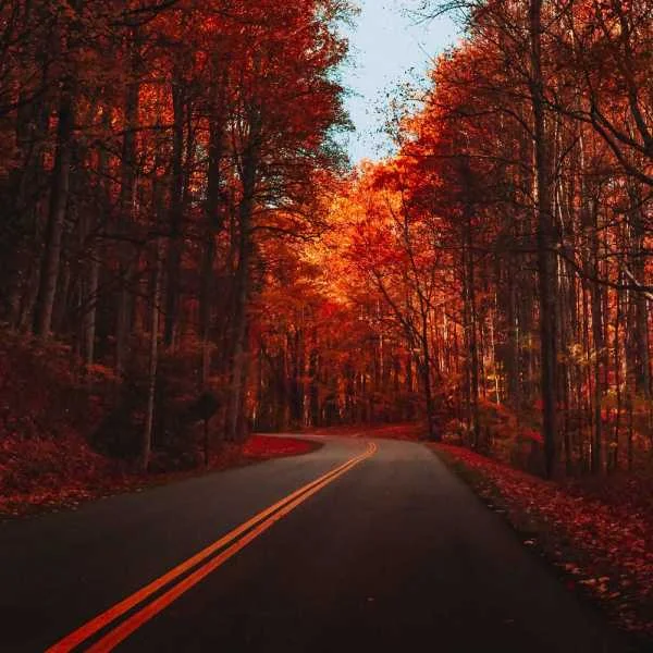 دانلود آهنگ محسن چاوشی بارون پاییزی هوش مصنوعی