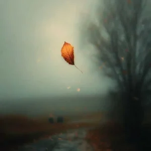 ریمیکس ریمیکس تیکه پارم بیقرارم سلامتی تاریخ روی مزارم