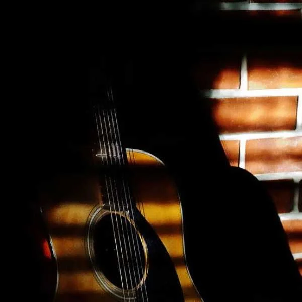 دانلود آهنگ یار دل بلا داره کلی برو بیا داره