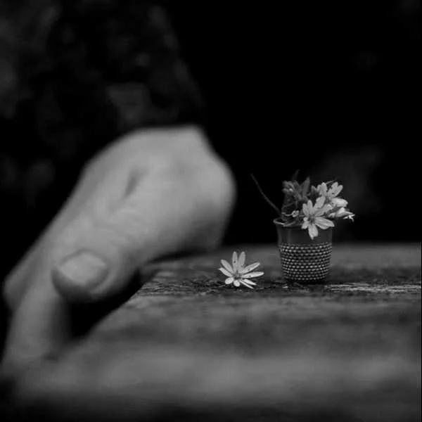 دانلود آهنگ تو آخرین طبیبی